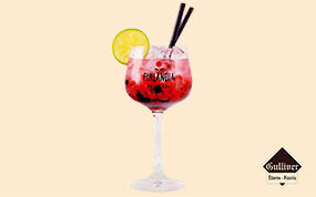Finlandia Botanical Wildberry Vodka & Kinley Pink Aromatic Berry